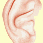 earleft